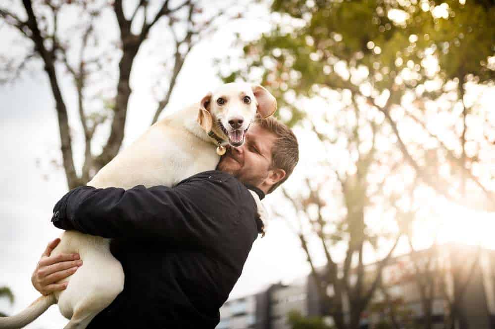 Ist ein Hund gefunden, so umarmt man ihn wie dieser Mann seinen Hund freudig umarmt.