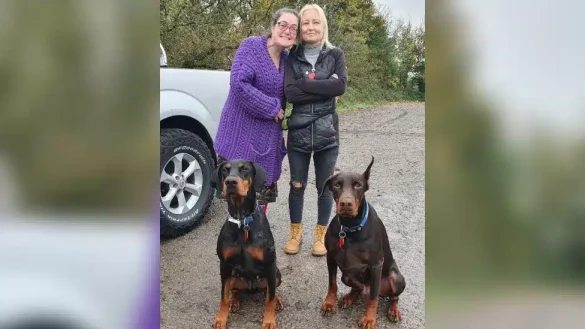 Hund findet mit Spürnase Organspenderin für sein schwer erkranktes Frauchen