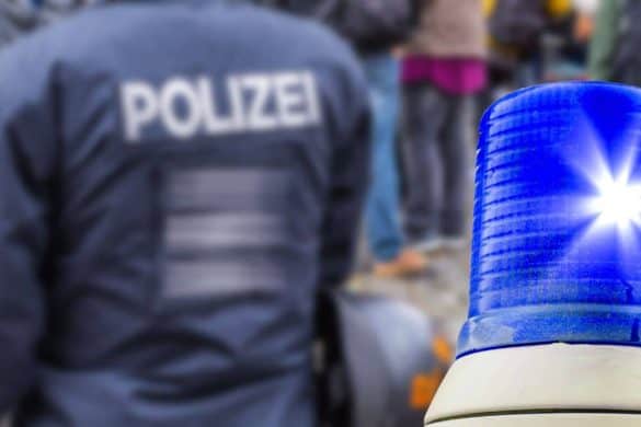 Acht Welpen bei Polizeieinsatz in Würzburg gerettet.