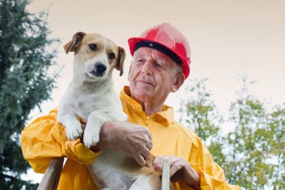 Dank einer aufmerksamen Passantin konnte die Feuerwehr das Leben eines Hundes retten.