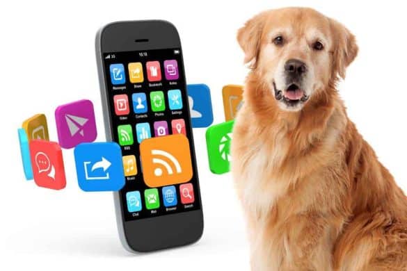 Ein Hund neben einem Handy mit Apps symbolisiert die Sicherheit von Hunde-Apps.