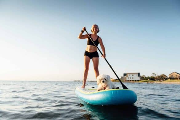 SUP mit Hund ist super! - die Hundezeitung - Eine Frau steht auf einem Stand-up-padel mit einem kleinen weißen Hund - (c) ferrantraite (canva)