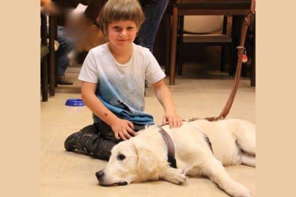TAT - Tiere kommen als Therapiebegleiter zum Einsatz. Tiere als Therapie - Ein Junge streichelt einen Hund. / Foto: TAT