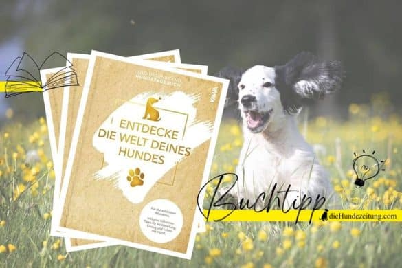 Hundetagebuch - Entdecke die Welt deines Hundes. Buchtipp die Hundezeitung.