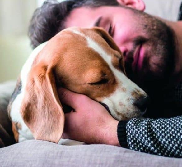 Das Quiz: Dein Hund als Ein und Alles . Ist er dein Partnerersatz?