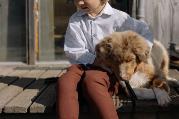 Hundeunterstützte Psychotherapie bei ASS: Hunde können gerade bei Kindern mit Autismus-Spektrum-Störung eine tolle Unterstützung sein. /Foto: cottonbro studio (canva)