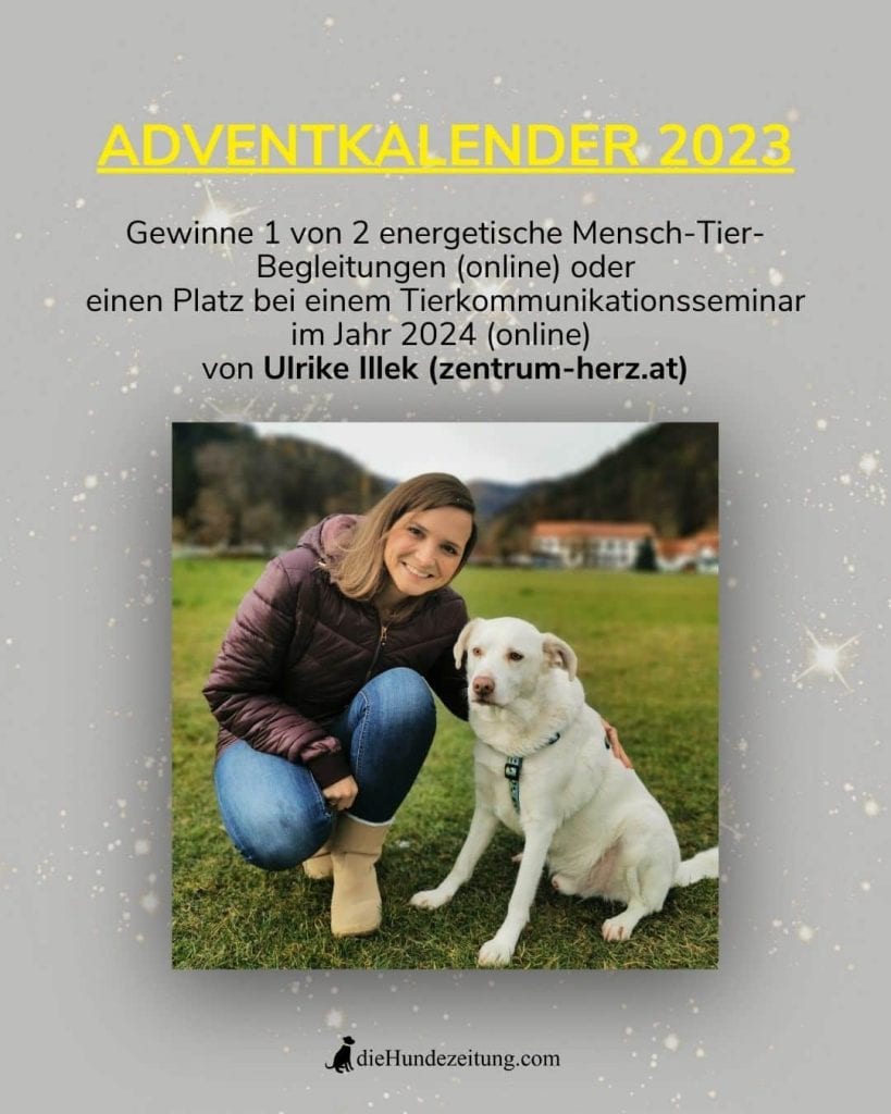 Türchen 18a Tierkommunikationsseminar von Ulrike Illek