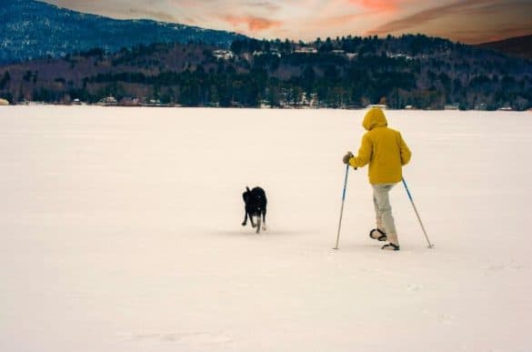 Möglichkeiten den Winter mit dem Hund zu genießen.