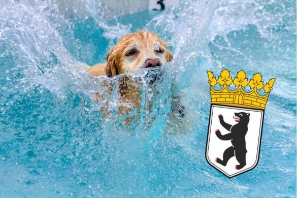 Ein Hund, der soeben ins Wasser gesprungen ist, steht für das Baden mit Hund, unten rechts ist das Wappen der Stadt Berlin zu sehen.