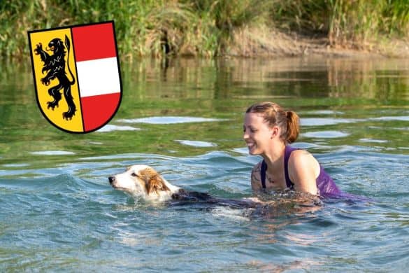 Eine Person und ein Hund schwimmen zusammen in einem Wasser, der symbolisch für das Baden mit Hund in Salzburg steht.