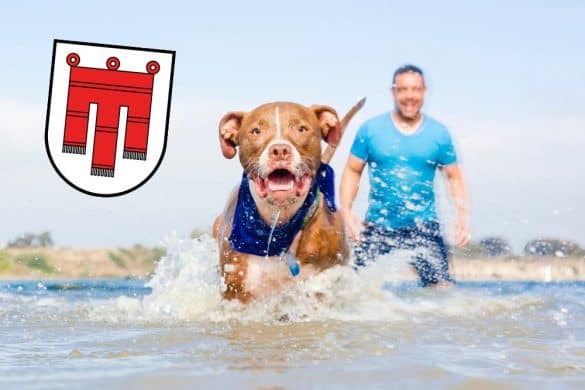 Fürs Baden mit Hund in Vorarlberg steht ein Mann, der seinem Hund im Wasser nachläuft, links daneben befindet sich das Wappen von Vorarlberg.