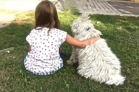 Kind sitzt mit einem Hund auf einer Wiese und hat ihm eine Hand auf die Schulter gelegt. /Foto: TAT
