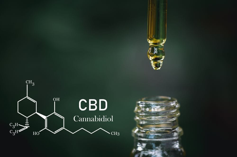 CBD trägt zum Wohlbefinden des Körpers bei und kann besonders bei Hunden mit Angstproblematik nützlich sein. /Foto: Tinnakorn Jorruang (Canva.com)