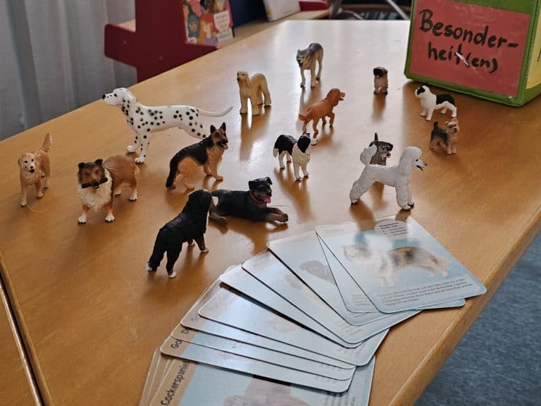 Kleine Figuren von Hunden und Karten mit Beschreibungen von Eigenschaften verschiedener Hunderassen als Vorbereitung auf die Leseförderung mit den Lesehunden. /Foto: Claudia Rittmann-Pechtl