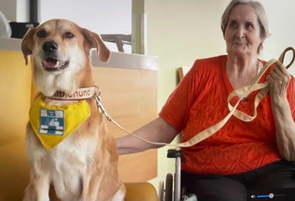 Seniorin mit einem Therapiehund von Tiere als Therapie. /Foto: Tat