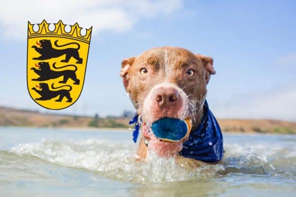 Ein Hund im Wasser vor dem Wappen von Baden-Württemberg.
