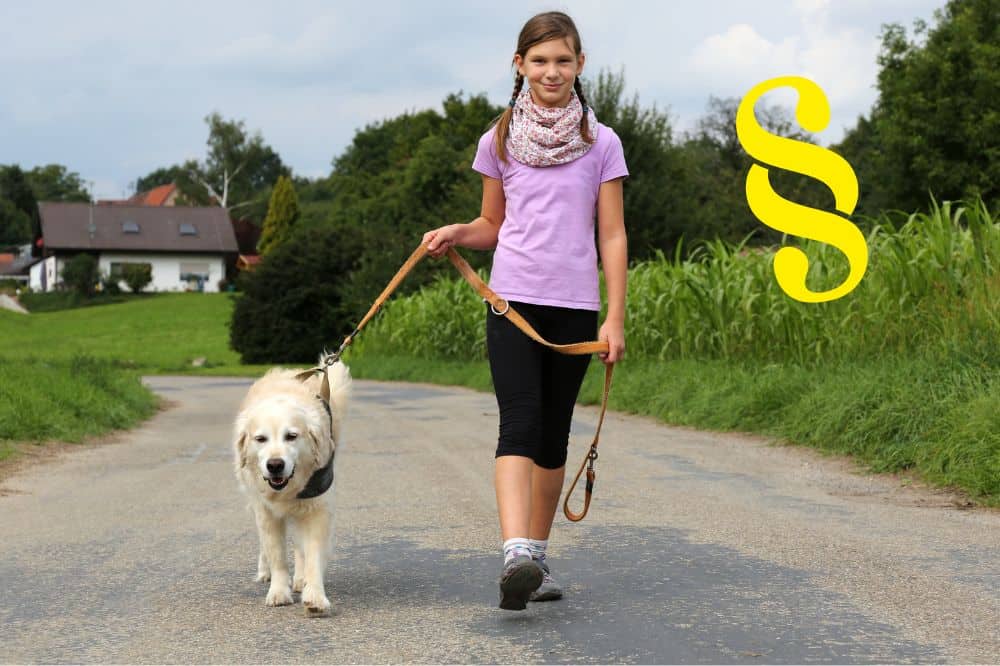 die hundezeitung mindestalter fürs gassigehen kinder hund spazieren haftung leine
