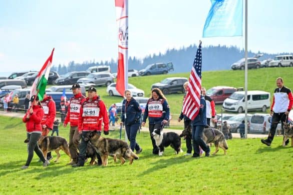 FCI IGP Fährtenhunde-WM 2025 ausgerichtet vom SVÖ Rohrbach-Berg