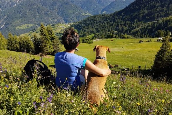 Hotel Bergfrieden in Tirol für den Urlaub mit Hund / hundefreundliches Hotel in Österreich / Umgebung mit Hund: Besitzerin und Hund sitzen auf der grünen Wiese und genießen das Panorama