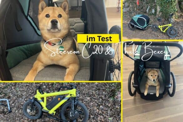 Praxistest mit Hund: Steereon C20 & Thule Bexey