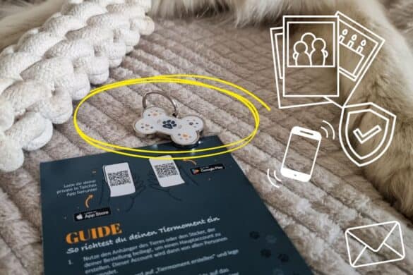 Wir haben den InTaches Hundeanhänger getestet