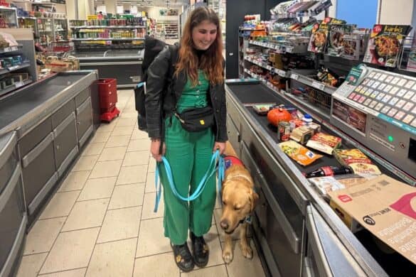 Gastkommentar zum Alltag und Leben mit PTBS und Hund / Assistenzhund Simba / Leben mit Posttraumatischer Belastungsstörung /