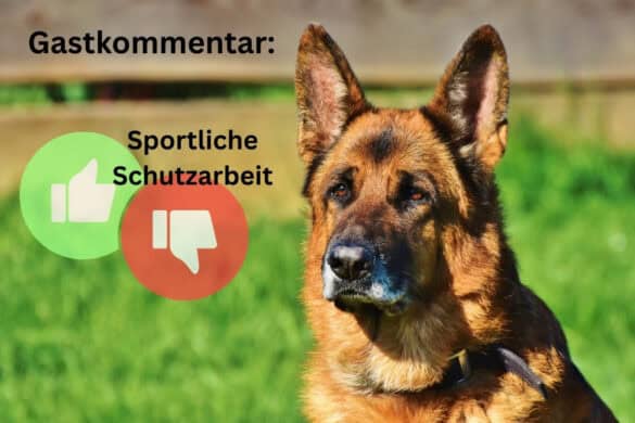 Gastkommentar des SVOE zur Schutzarbeit
