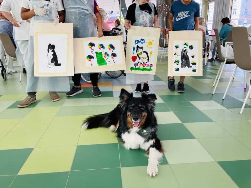 Tiergestützte Intervention / Hundegestützte Intervention
