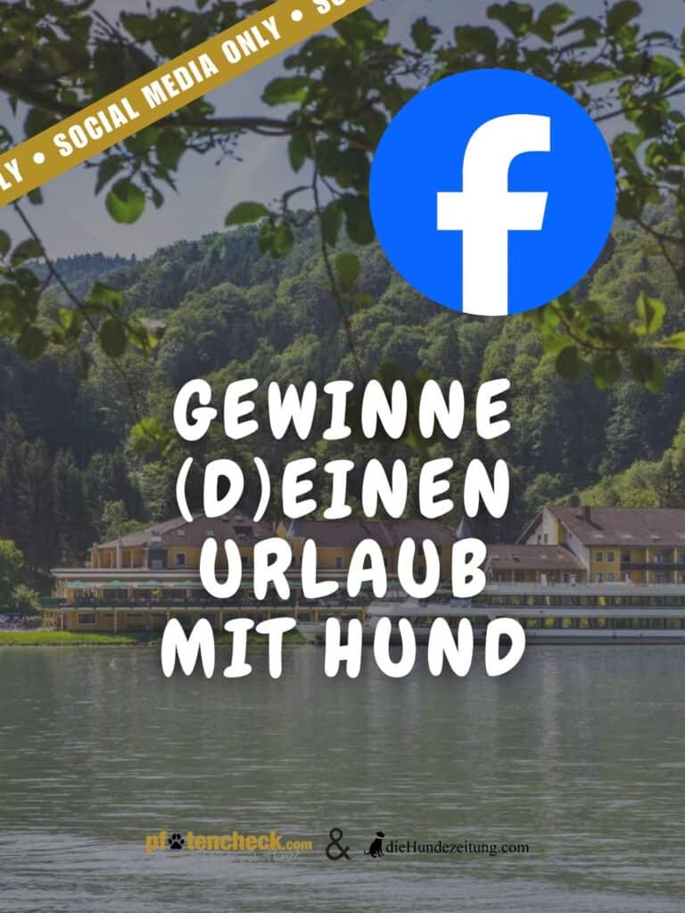 Gewinnspiel für einen Urlaub mit Hund