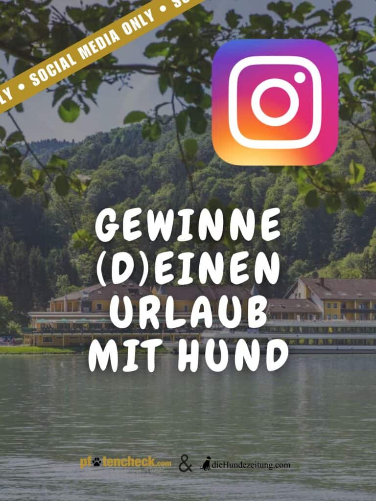 Gewinnspiel für einen Urlaub mit Hund